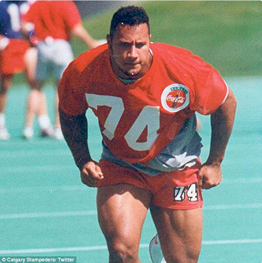 Dwayne Johnson (The Rock)

                                    
                                    Dwayne Johnson, ünlü bir aktör ve güreşçi olmadan önce Miami Hurricane takımında Amerikan Futbolu oyuncusuydu ve Kanada Ligi'nde uzun yıllar oynadı. Ancak yaşadığı bir sakatlık futbolu bırakmasına neden oldu.
                                
                                