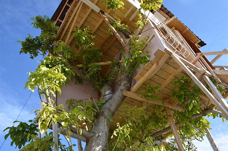 Seheryıldızı, yaptığı açıklamada, memur olarak çalıştığı Adana'dan kendi isteğiyle tayin olduğu Malatya'da 7 yıl görevde bulunduğunu söyledi.