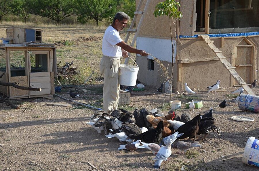 Daha sonra Erzincan'da görevini sürdürdüğünü anlatan Seheryıldızı, emekli olduktan sonra Malatya'ya yerleştiğini belirtti. Seheryıldızı, "Malatya'nın havası, suyu, insanları hoşuma gitti. Aslen Osmaniyeli olmama rağmen geldim, buraya yerleştim. Bütçeme uygun Akçadağ'da 3,5 dönüm arazi aldım. Burada tavuk, güvercin, hindi besliyorum. 2-3 köpeğim var." dedi.