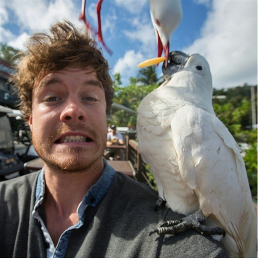 Allan Dixon hayvanlarla ilginç selfiler çekmek için dünyayı dolaşıyor