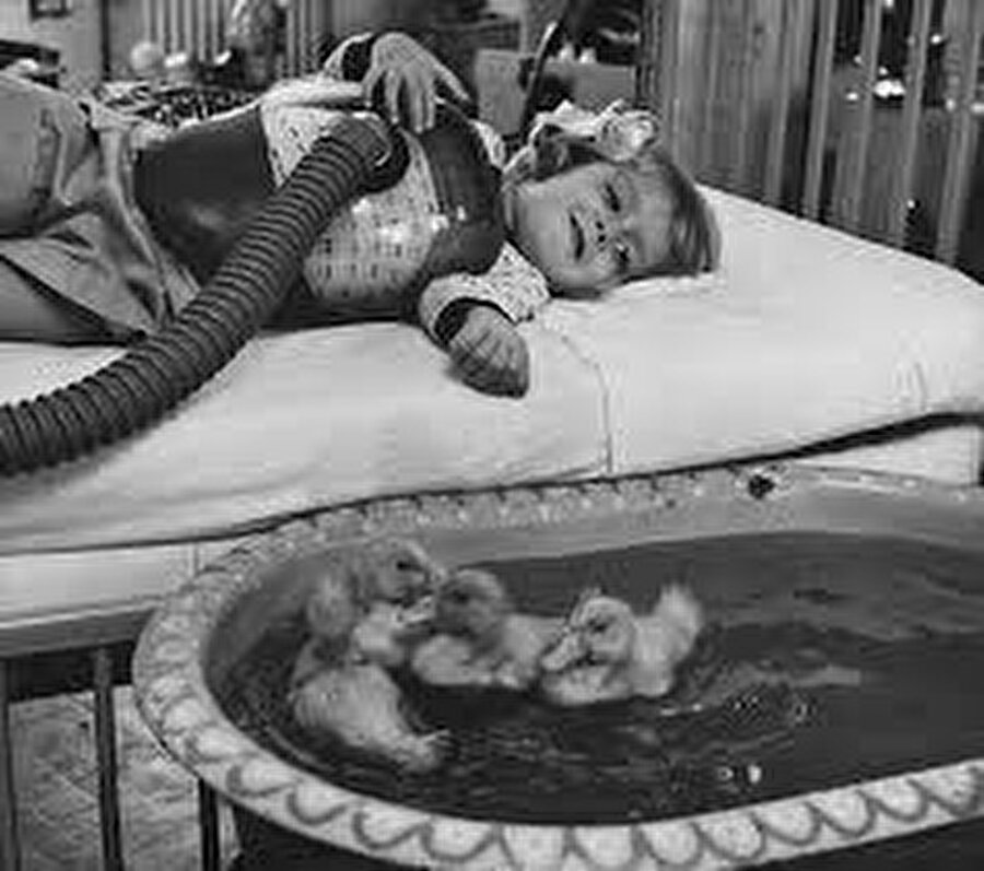 Hayvanlar tarihte ilk defa tıbbi tedavide kullanıldı - 1956
