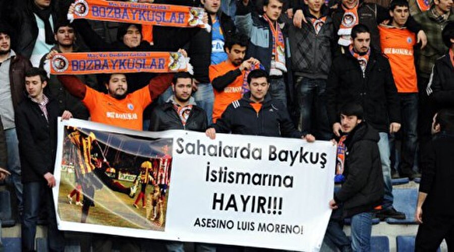 Baykuşlara karşı hassaslar