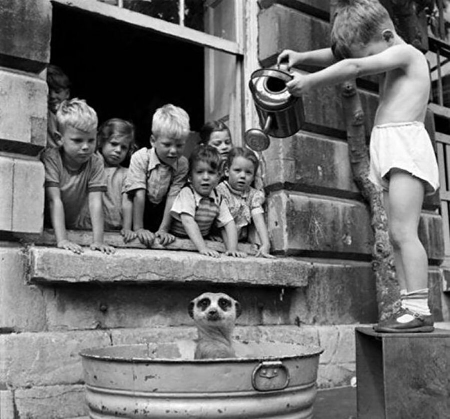 Mirket yıkayan çocuklar - Güney Afrika - 1950
