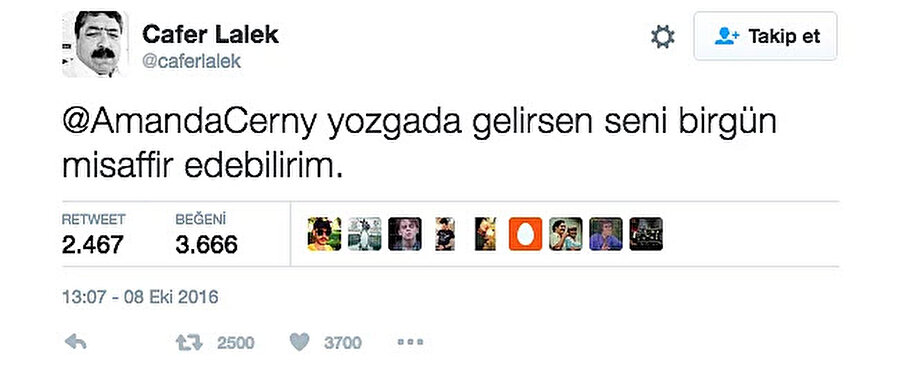 Türkçeyi kullanış biçiminin bozuk olması 1. neden

                                    
                                    Bu tarz benzeri hesaplar twitter'da çokça bulunuyor. Doğal ve estetize edilmemiş bir karakter fikri herkesin hoşuna gider ve ilgisini çekerdi. Öyle de oldu.
                                
                                