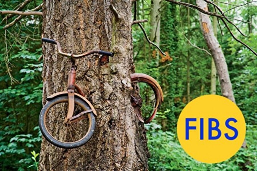 Vashon Adası'ndaki ağaçla bütünleşmiş bisiklet olayı da hileliydi. Yüz yıllık olduğu iddia ediliyordu ancak 1950'li yıllarda gerçekleşmiş bir olaydı ve bisikletin sahibi Don Puz'du.
