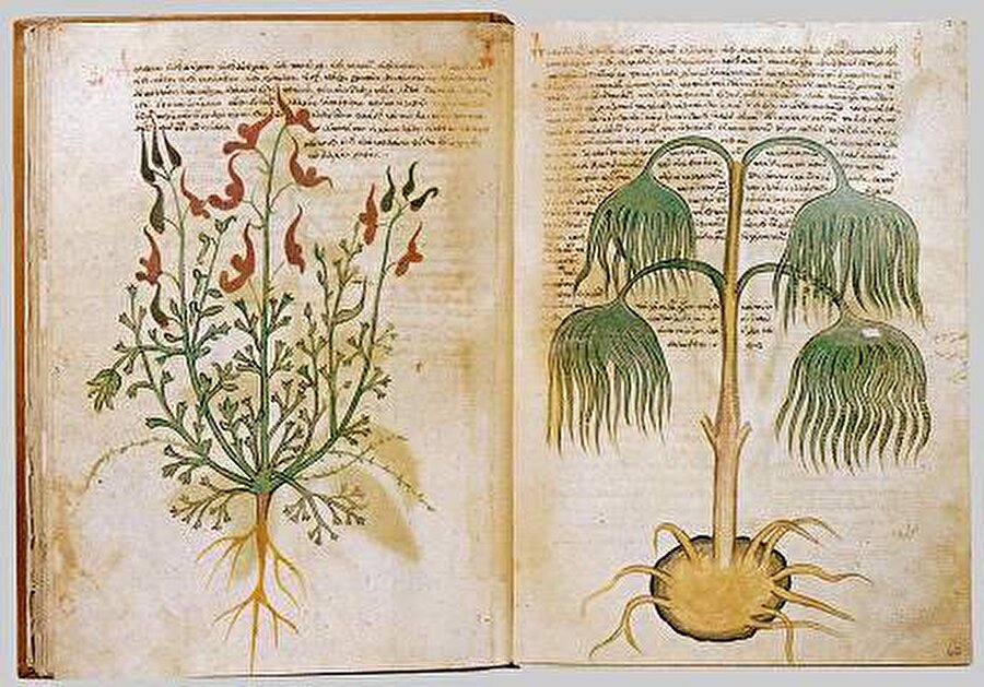 Voynich El yazması

                                    240 sayfalık bu kitap günümüzde hiç kimsenin bilmediği ve hiç bir tarihi kayıtta rastlanılmayan tuhaf bir dilde yazılmış. Kitabın sayfaları: Astrolojik çizimlerle, sıra dışı olayların betimlemeleriyle, anlam verilmeyen şemalarla ve yüzlerce değişik bitki resmiyle doludur. 

Dünyanın en iyi bilimcileri de dahil kimse tarafından sırrı çözülemeyen eserin kim tarafından yazıldığı ve ne anlam ifade ettiği hala çözülememiştir.
                                