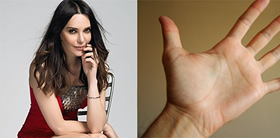 Hande Ataizi ve tokat