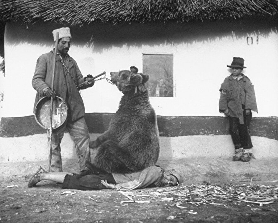 Sırt tedavisinde ayı desteği- Romanya, 1946

                                    
                                