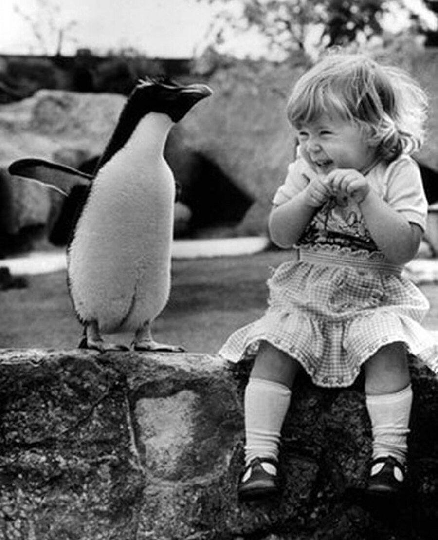Küçük bir kızın ilk kez penguen ile karşılaşması 

                                    
                                