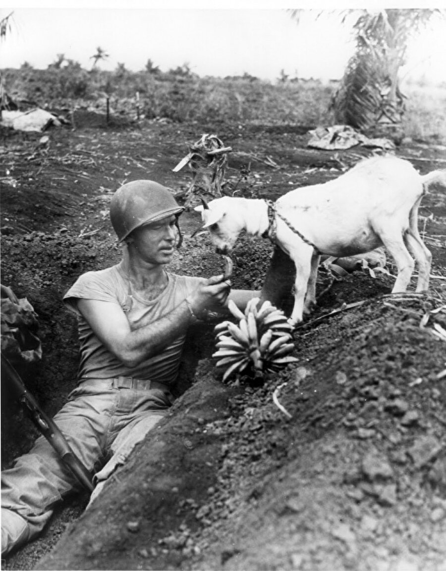 Bir asker keçi ile muz paylaşıyor. Saipan Savaşı, 1944

                                    
                                
