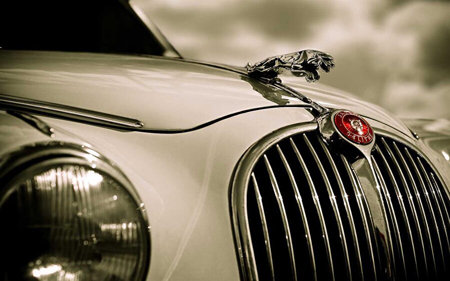 Jaguar - Toplam satış 309

                                    
                                