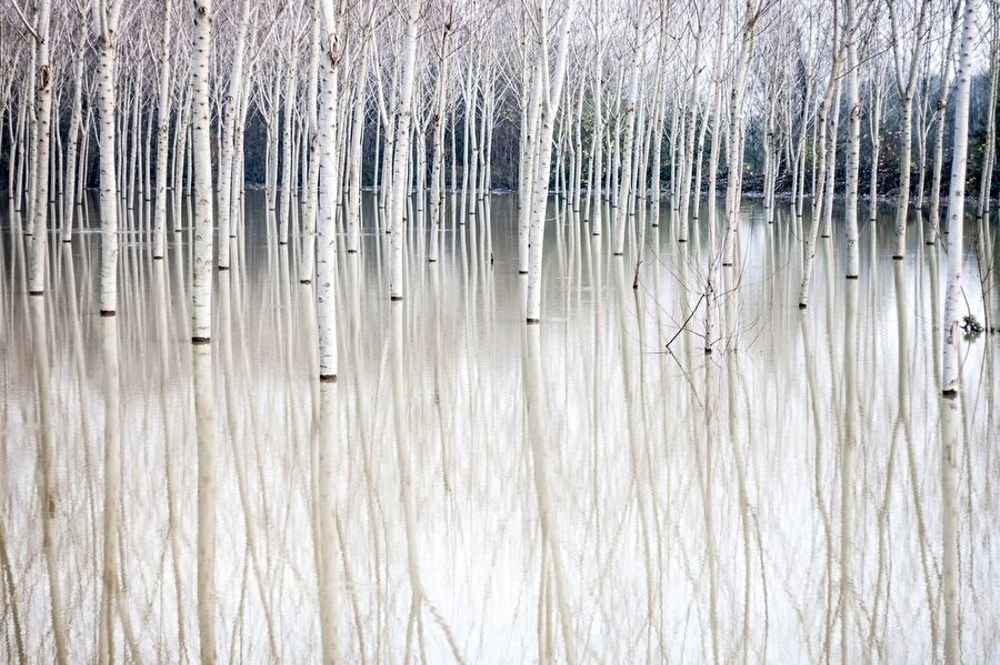 Po Nehri, İtalya
Annalaura D.