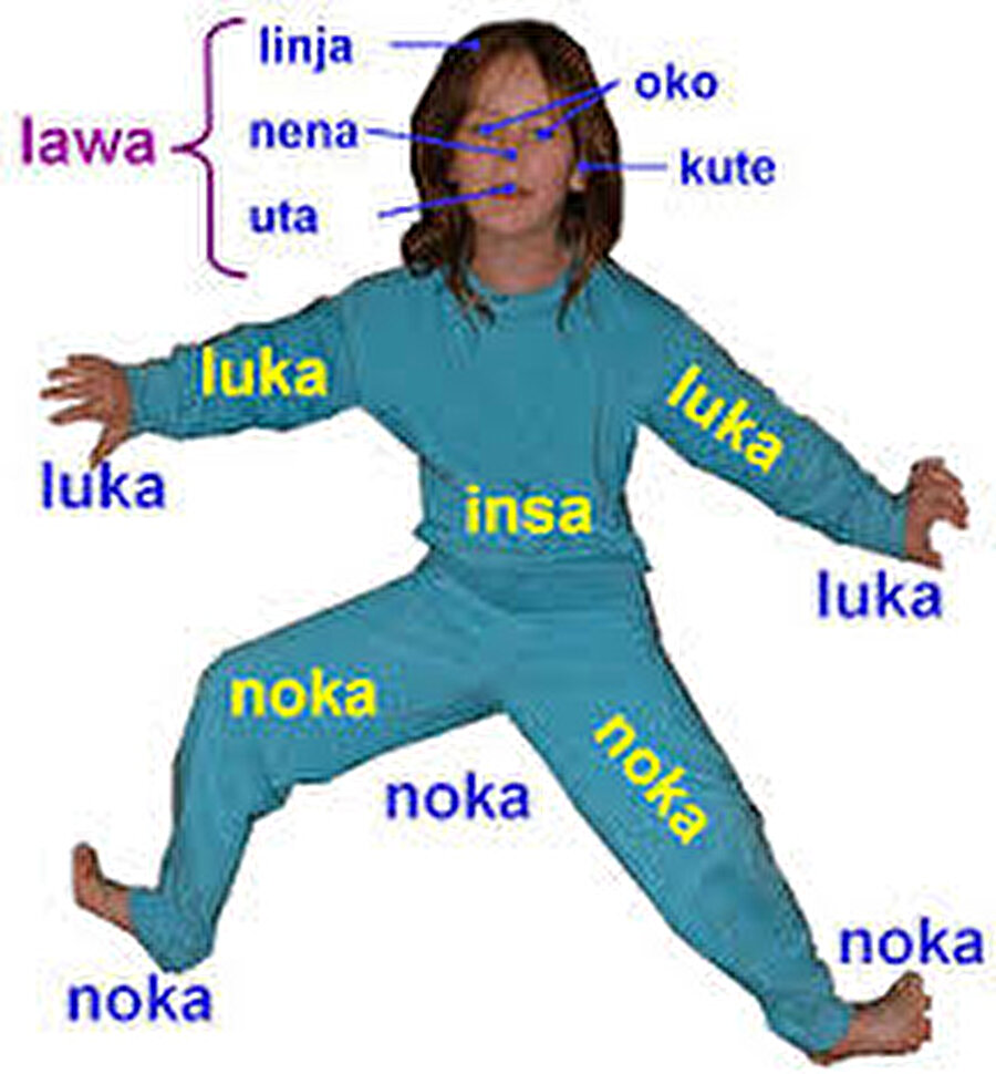 Toki Pona: Minimal dil
Evrensel olan basit fikir ve düşünceler üzerine tasarlandı. Dil modern yaşamın dışında basit yaşamın getirdiği kavramlar arasından özenle seçilmiş 14 ses ve 120 sözcük kökünden oluşuyor.