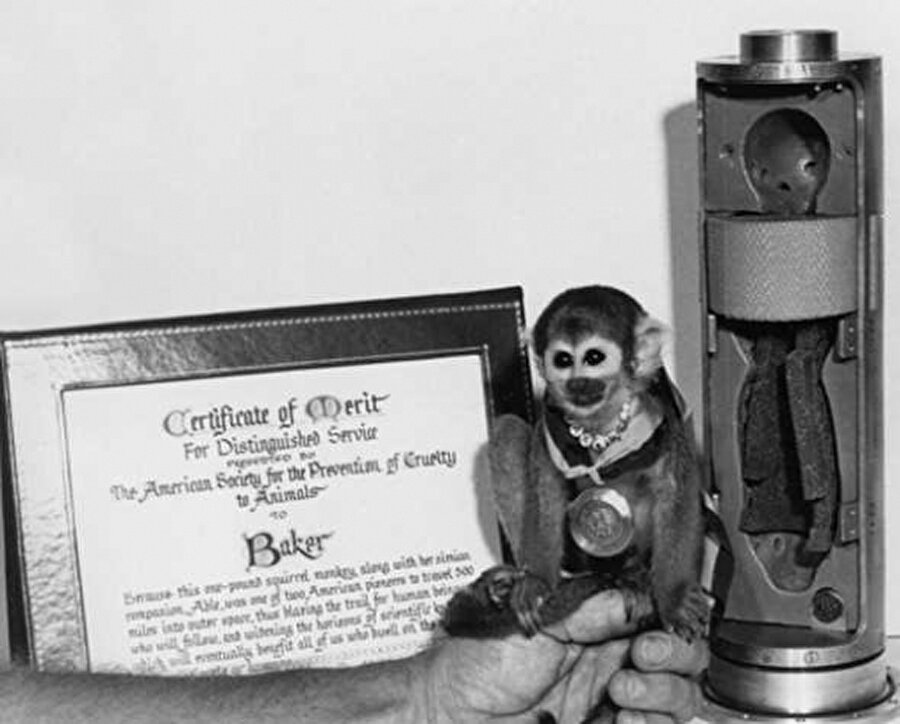 Able ve Baker

                                    
                                    
                                    
                                    Able ve Baker Uzaya yaptıkları ilk yolculuktan sağ çıkmayı başaran iki maymun, Able ve Baker, NASA'nın basın toplantısında kameralara poz veriyor.

                                
                                
                                
                                
