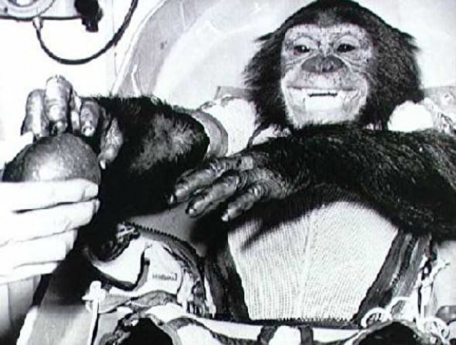 Ham

                                    
                                    
                                    Uzayda Ham isimli şempanzenin Ocak 1961'de yaptığı yolculuk 16 dakika 59 saniye sürdü.
                                
                                
                                