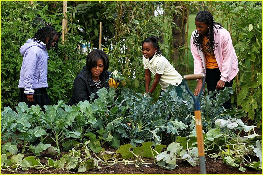 Doğayla iç içe bir hayat

                                    Obama Ailesi'nin botaniğe olan ilgisi malumunuzdur. İşte bu sebepledir ki; Obama'da eşi Michelle Obama ve kızları ile birlikte bahçe, çiçek işine girişecektir. Tam emekli işi.
                                