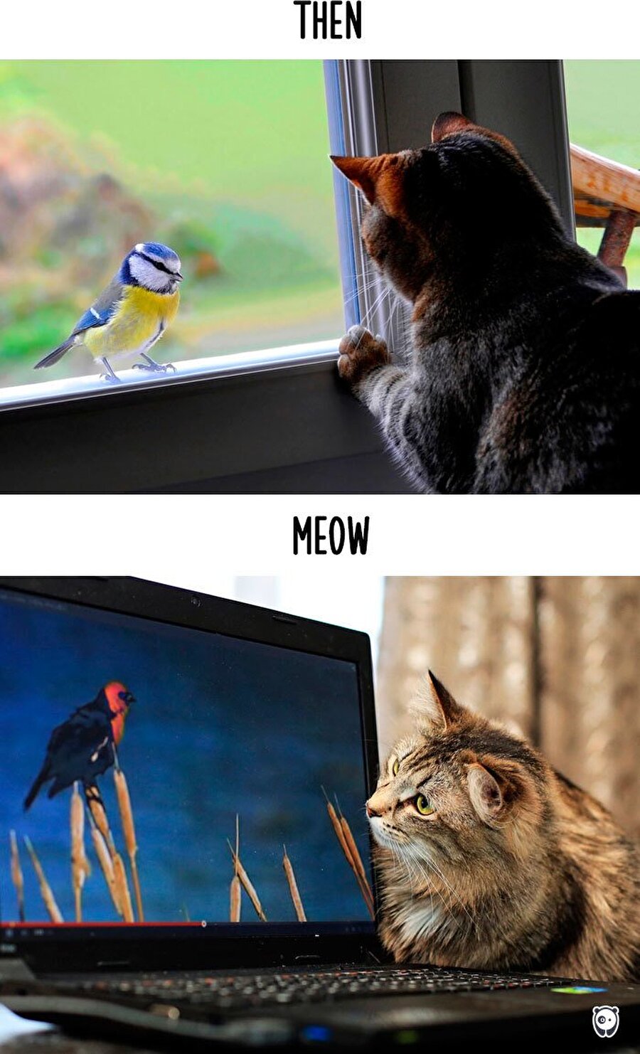 Oysa ne kadar sahici gelmişti gözüme