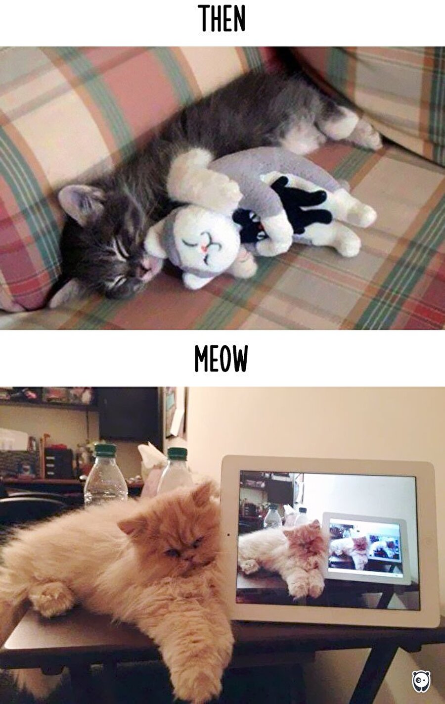 Oyuncak ayıma sarılıp uyumayı özledim