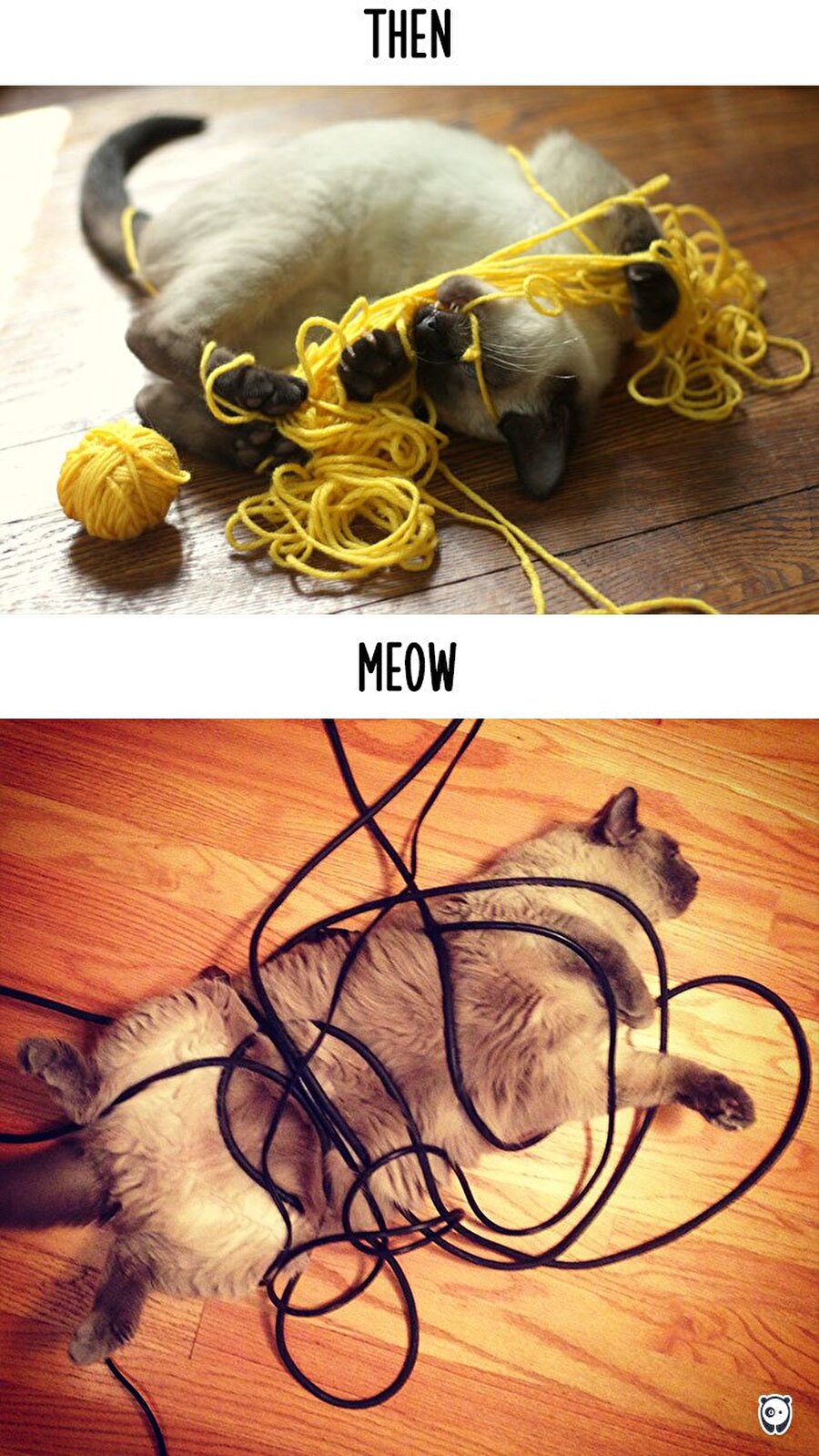 Yumak keyfimden ne istediniz zalıımlar?