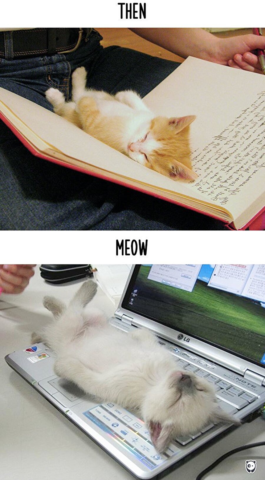 Elbette tüm ilgini bana vereceksin. Saksı değilim ben! En çok BEN