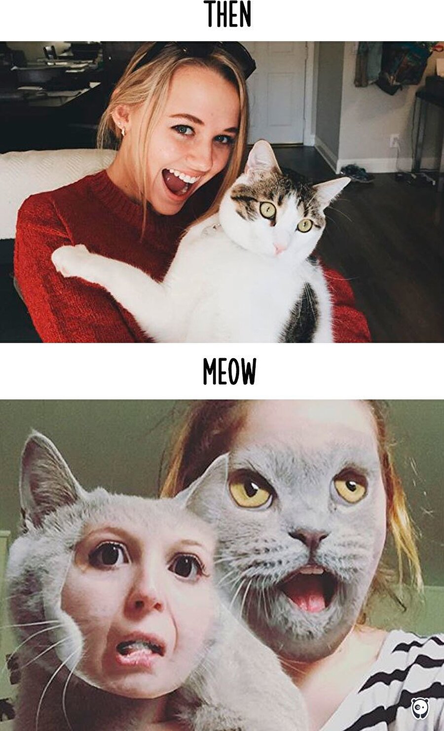 Bu gavur adetlerinden ben bıkmışım ya! Bu nedir allasen, bravo çok güzel olduk