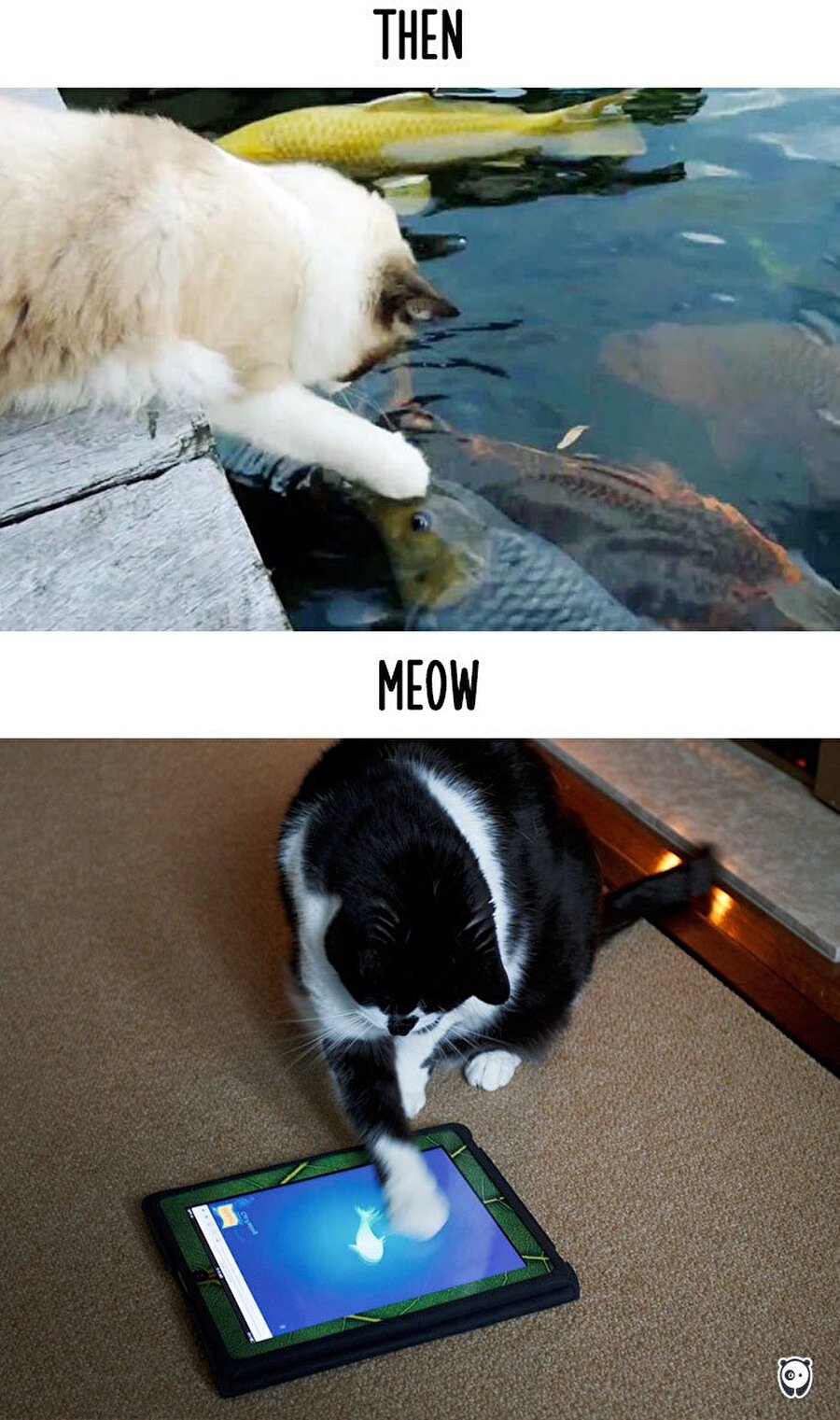 En masum duygularımla niye oynadınız?