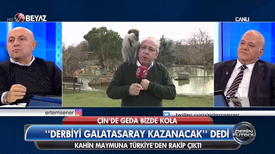 Böylece maymun Kola'nın derbi galibi tahmini Galatasaray, şampiyonluk tahmini ise Beşiktaş oldu.
