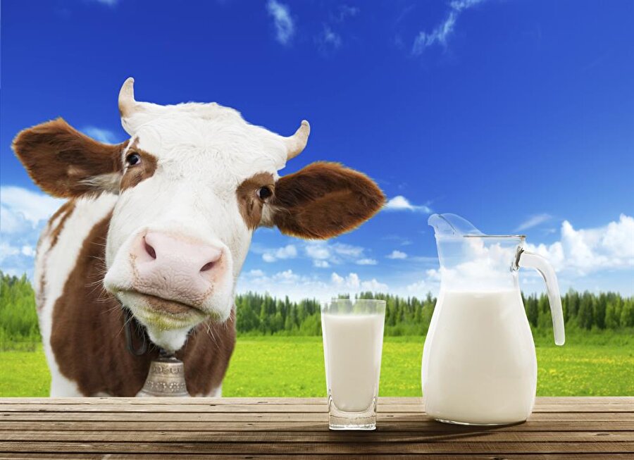 Süt
Protein ve kalsiyum açısında zengin olan süt, kemik sağlığı için son derece önemli.