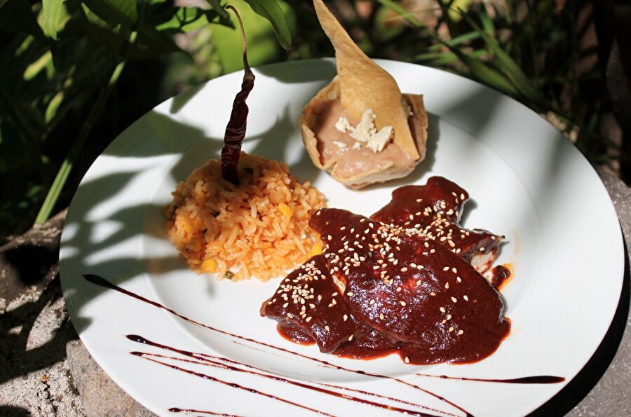 Meksika / Mole sauce

                                    Mole sauce (Köstebek sos); yüz çeşit malzemeden hazırlanan özel bir sostur.
                                