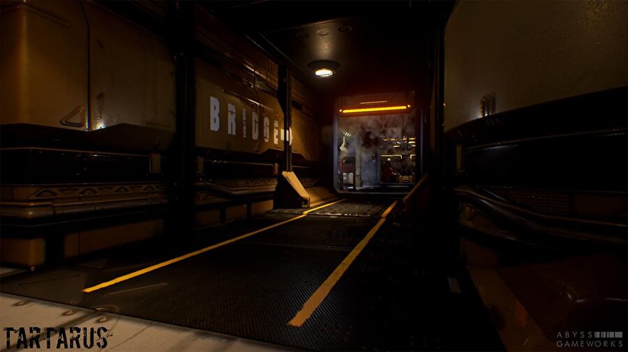  Abyss Gameworks'ün anlatımı ile Tartarus'un hikâyesi bu şekilde olacak:
2230 yılında Maden Toplama ve Araştırma Gemisi TARTARUS (MRS TARTARUS 220478) güvenlik protokolünü hiçbir işaret vermeden Neptün yakınlarında aktifleştirir. Gemi mürettebatının tek şansı "köprü"ye ulaşıp tüm sistemleri sırayla yeniden başlatmak ve gemiyi Neptün'e düşmeden kurtarmaktır. Oyunumuzu geminin madencisi olan ve hiç bir mühendislik veya teknik eğitimi olmayan Cooper olarak oynuyoruz. Andrews ise bize gemimizi kurtarmak için yardım eden mühendis. Ancak bu göründüğü kadar kolay değil...