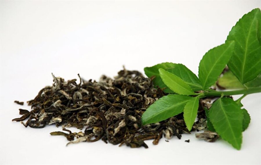 Yeşil Çay
Yemek yedikten iki saat sonra içeceğiniz yeşil çay, yağ yakımını hızlandırır ve kilo vermenize yardımcı olur. 