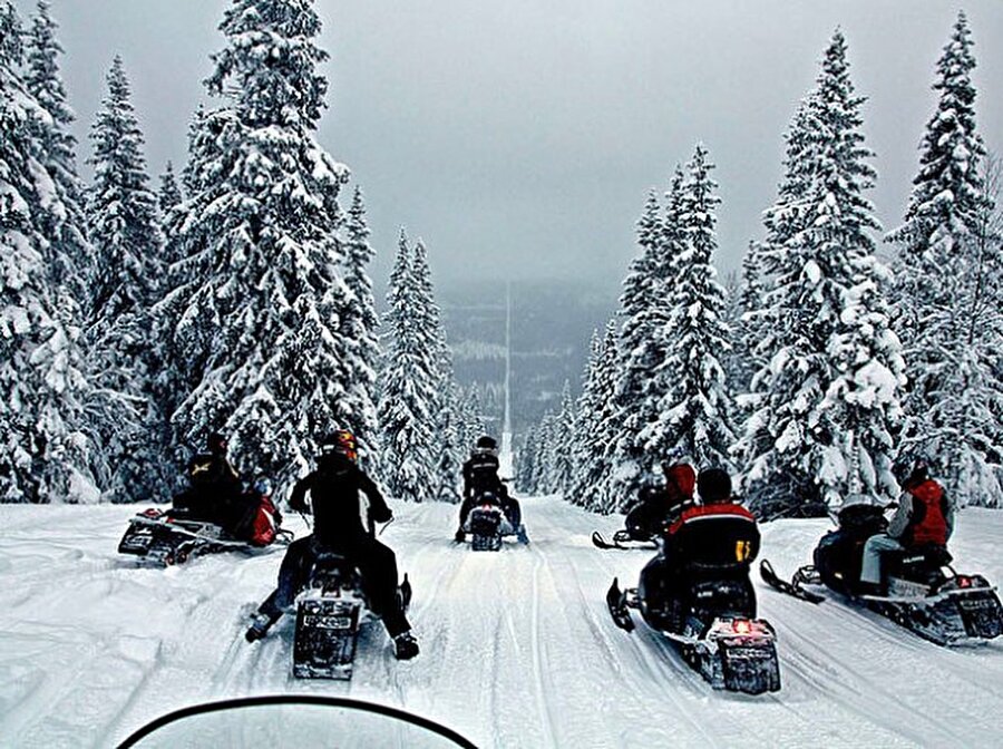 Norveç - İsveç Sınırı
Kesilen ağaçlarla oluşturulan iki ülkenin sınırında motorlu kızaklar kullanılıyor.