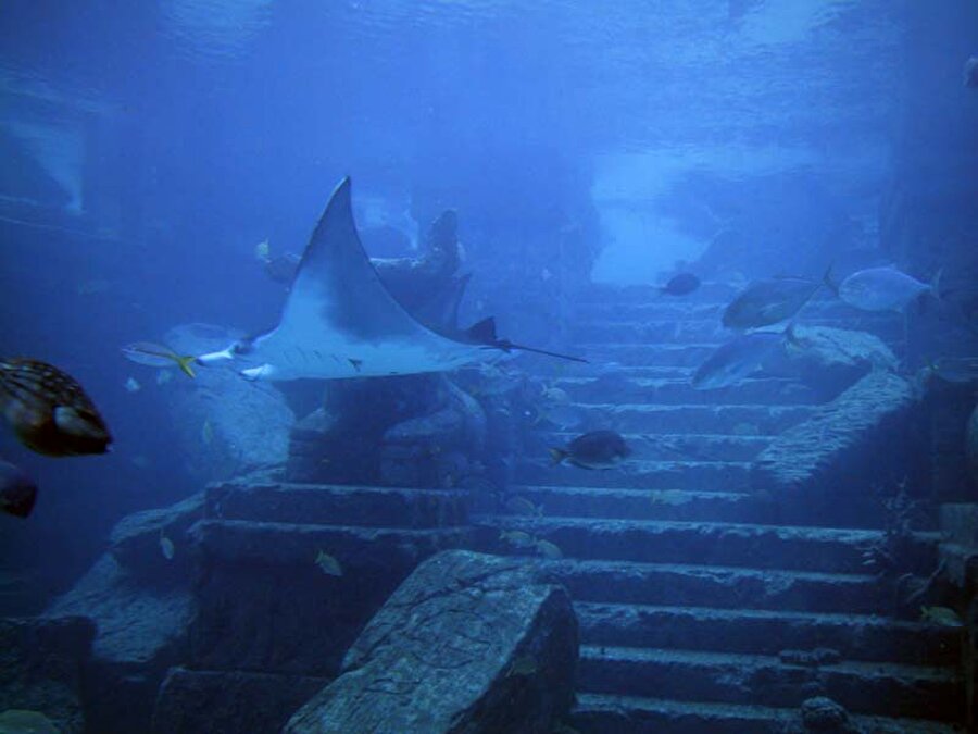Бермудский треугольник реальное фото под водой