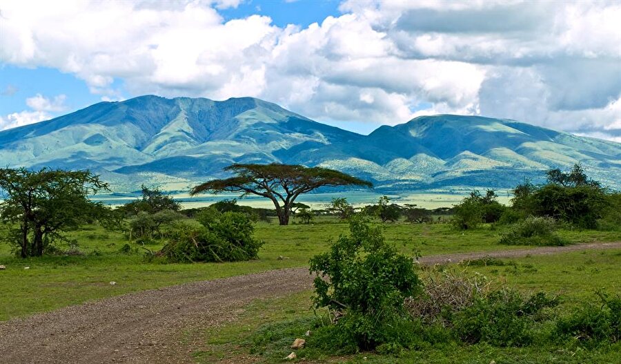 Serengeti Millî Parkı / Kenya ve Tanzanya arasında
