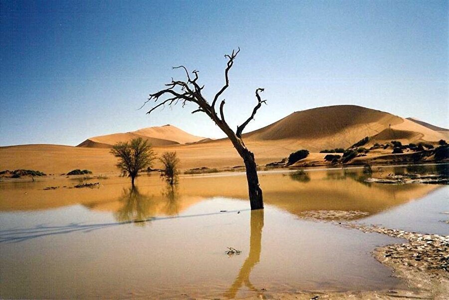 Namib Çölü / Namibya

