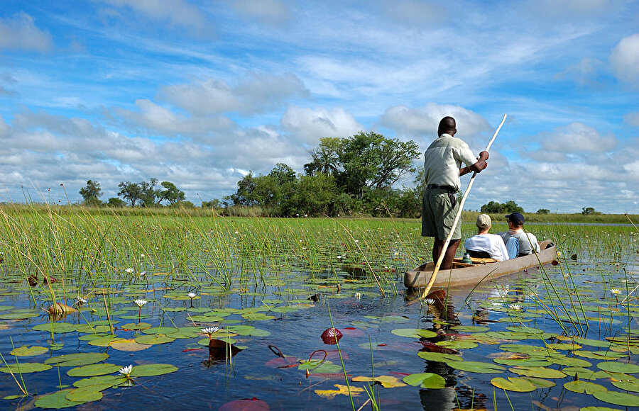 Okavango Deltası / Botsvana
(Fotoğraf kaynağı: afrizap.com)