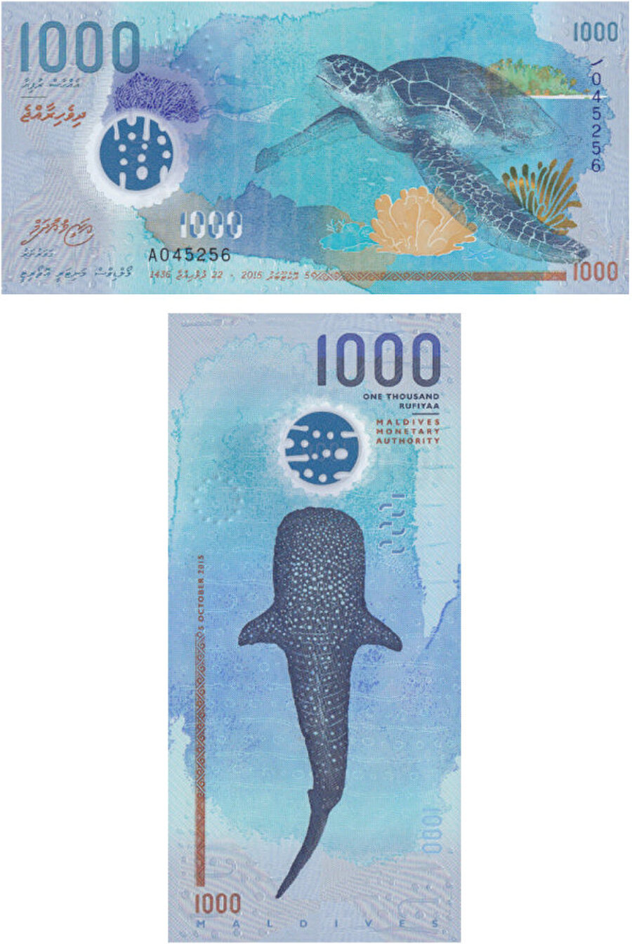 1000 Maldivler Rufiyaası
