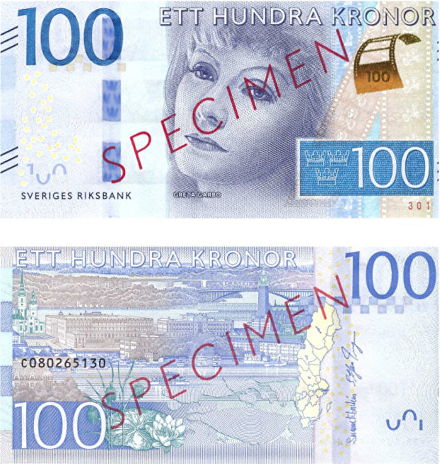 100 İsveç Kronu
