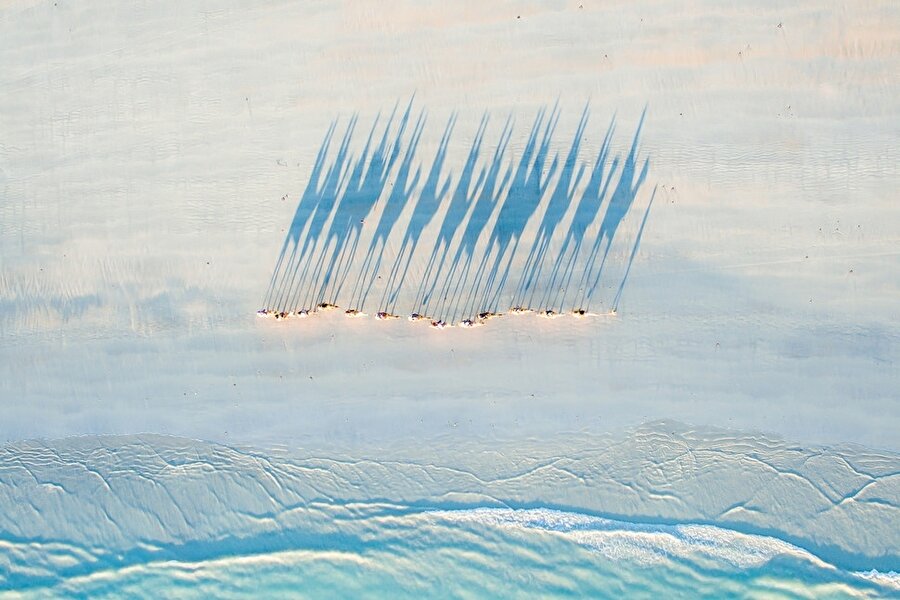 Avustralya'da bir deve turu