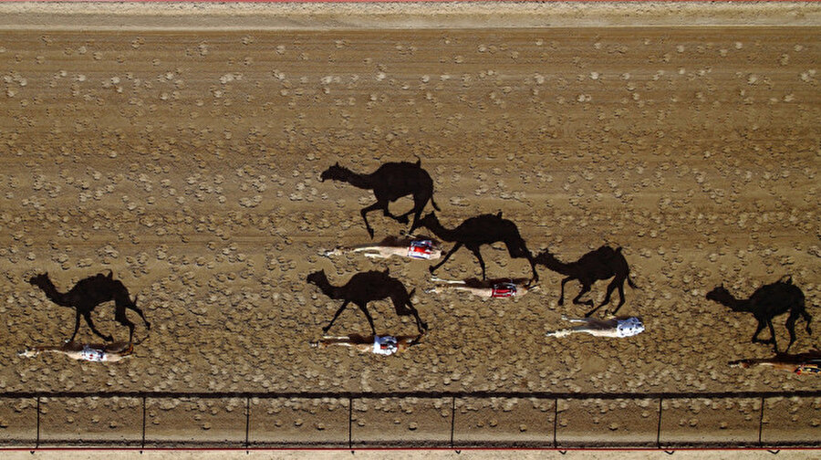 Dubai deve yarışları; gölgelerin yansıması muazzam
