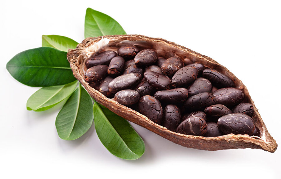 Ham Kakao

                                    
                                    
                                    Kakao, kakao bitkisinin çekirdeklerinden elde edilir, sağlıklı gıda marketlerinde veya süpermarketlerde toz, tane veya katı yağ olarak satılır. 
Çoğu ticari olarak üretilen çikolatanın şeker veya şurup ile sağlanan çok tatlı tadına oranla daha kekremsi bir tadı vardır. Kakao dildeki kekremsi tat alma cisimciklerini etkinleştirir. Bu sayede beyin ve pankreasa mide salgılarını artırmak için sinyal gönderilir ve sindirim canlanır.
Gezegendeki besinsel olarak en kompleks gıda olduğunun bilimsel olarak kanıtlanmış olmasının yanında, kakao tam 621 tane antioksidan içerir. 

                                
                                
                                