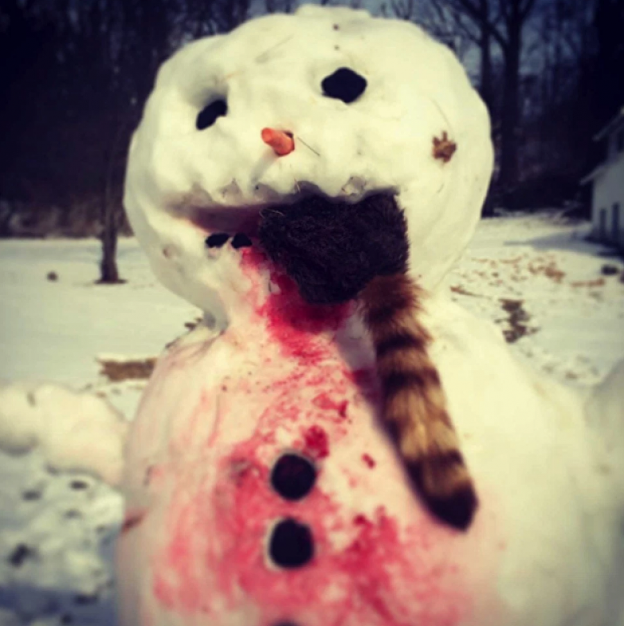 Karnı acıktığı için kediyi yemiş olan kardan adam

                                    
                                