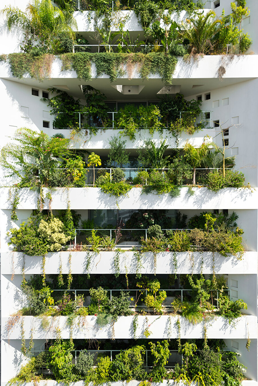 Kıbrıs

                                    Fransız bir mimarlık şirketinin projesi olan bina, dört bir yanında taşıdığı bitkiler ve beyazıyla dikkat çekiyor.
                                