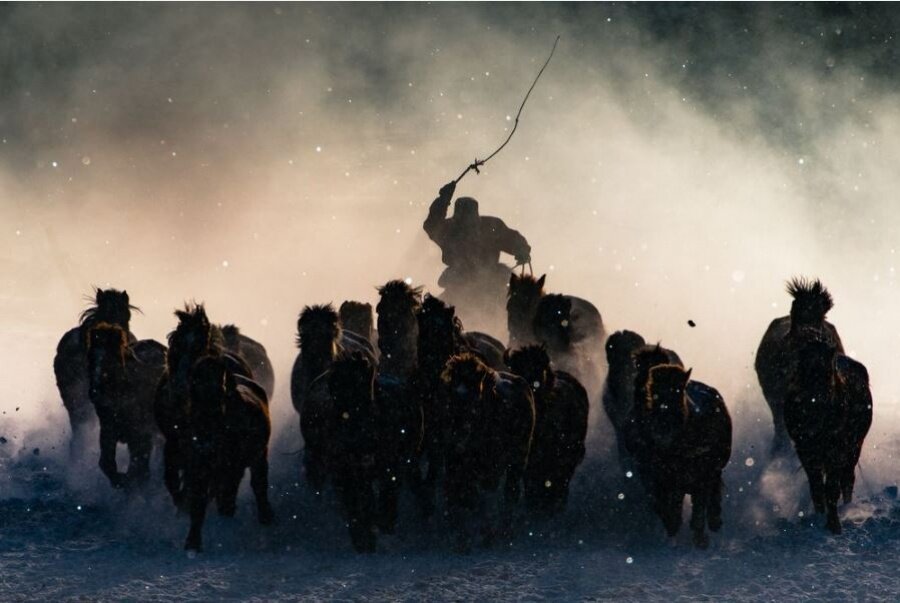 Büyük ödülü kazanan: Winter Horseman, İç Moğolistan
