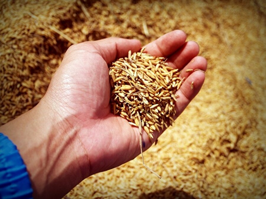 Buğday

                                    
                                    Bu ve benzeri tahıllar, insulin seviyesini dengeleyerek metabolizmayı hızlandırır.
                                
                                