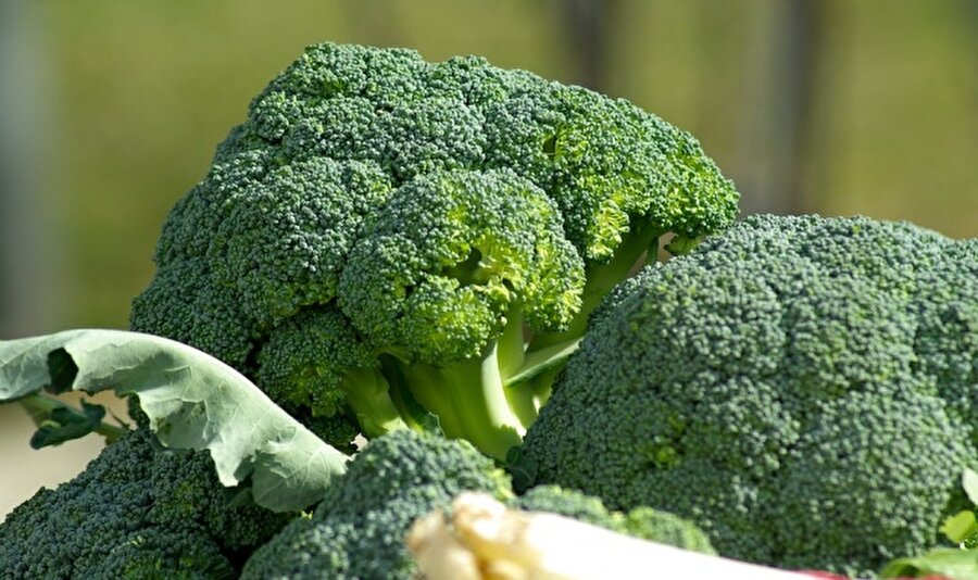Brokoli

                                    
                                    Metabolizmayı hızlandırmanın yanında kalsiyum açısından da zengindir. İçerisinde K. C ve A vitaminlerini barındırır.
                                
                                