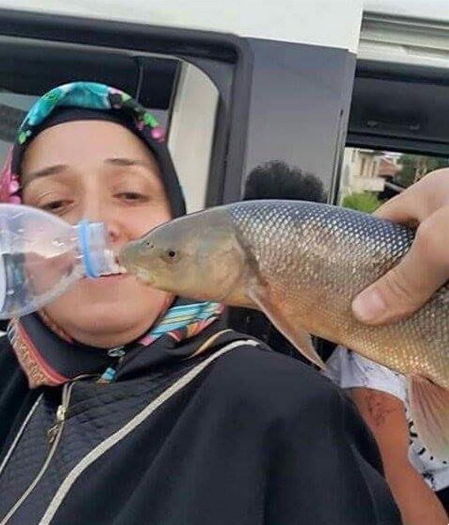Rönesans tablosu gibi: paylaşım rekoru kıran 15 anlamsız fotoğraf