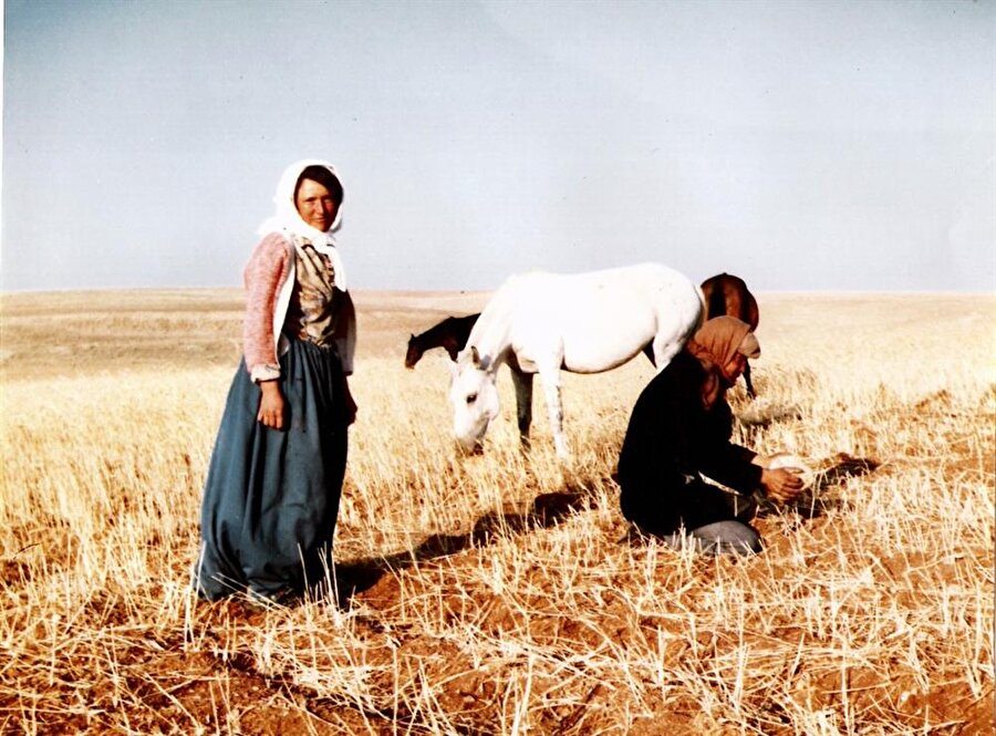 O yıllarda Asurlularla Anadolu halkının evlilikleri sonlanırsa, boşanma mukaveleleri karşılıklı anlaşma esasına dayanıyor.

                                    
                                    
                                
                                