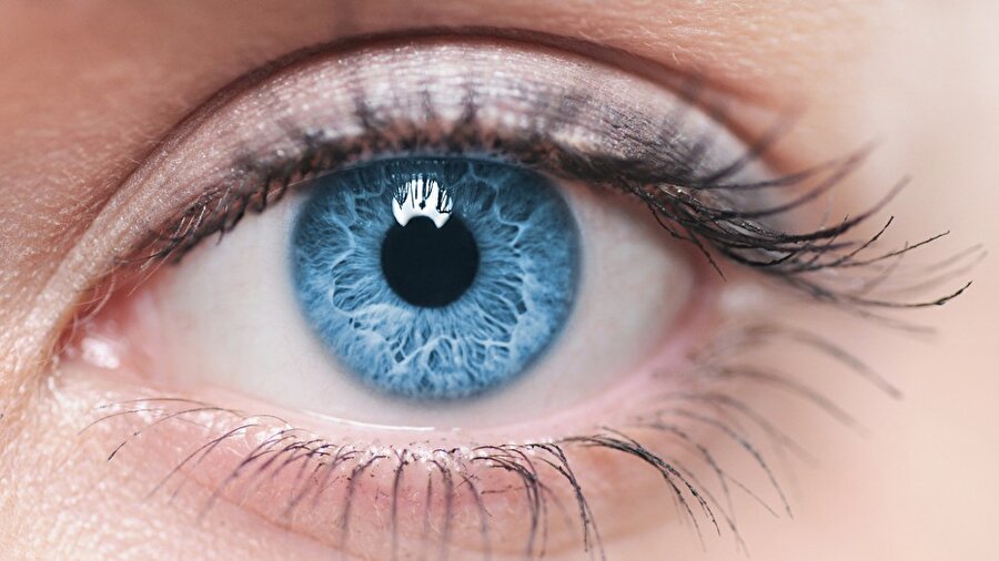 Aslında mavi gözlüler

                                    
                                    
                                    Mavi gözlü olan insanlar bazı biyolojik nedenlerden dolayı kahverengi gözlü olarak dünyaya geliyor.
                                
                                
                                