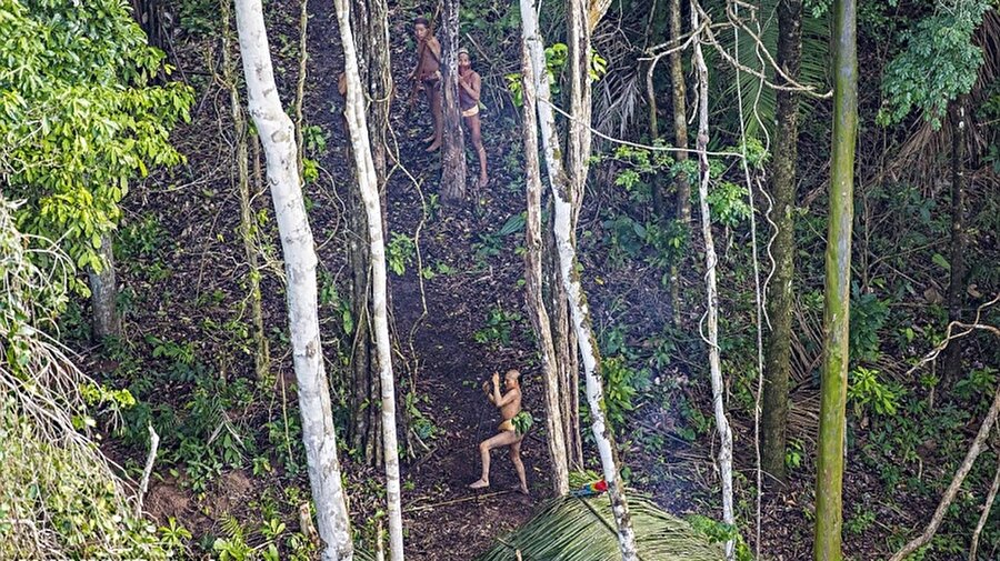 Fotoğraflanan yerleşimin 100 kadar nüfusu olduğu tahmin edilmekte. Genişlemiş alan ele alındığında ise nüfusun 300 kadar olduğu tahmin ediliyor. Bu arada kabile tarafından helikoptere fırlatılan okların saldırı değil, savunma amaçlı olduğu ve ''bizi rahatsız etmeyin, huzur içinde bırakın'' mesajı verdiği söylenmekte.